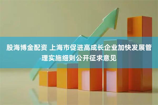股海博金配资 上海市促进高成长企业加快发展管理实施细则公开征求意见